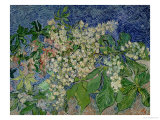Blossoming Chestnut Branches, 1890 Lámina giclée por Vincent van Gogh Blossoming Chestnut Branches, 1890 Lámina giclée por Vincent van Gogh