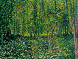 Vincent van Gogh - Woods and Undergrowth, c.1887 - Giclee Baskı Vincent van Gogh - Woods and Undergrowth, c.1887 - Giclee Baskı