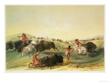 Buffalo Hunt, Plate 7 from Catlin's North American Indian Collection, by Mcgahey, Day and Haghe Giclée-Druck von George Catlin