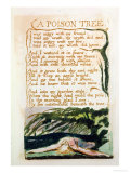 A Poison Tree, from Songs of Experience Giclee-trykk av William Blake
