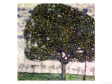 The Apple Tree, 1916 reproduction procédé giclée par Gustav Klimt
