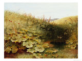 A Quiet Dell Giclee Print by Robert Collinson