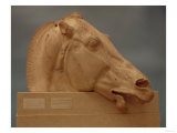 Head of One of the Horses of Selene, Goddess of the Moon, from the East Pediment of the Parthenon Giclee Print
