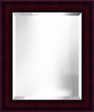 16 x 20 Framed Mirror Decorative Mirror