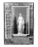 Ladder Photographic Print by Jeremy Farnham Ladder Photographic Print by Jeremy Farnham