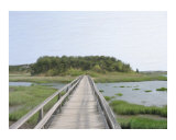 No Man is an Island Photographic Print by Kathryn M. Smith