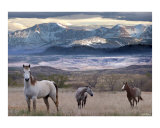Snapshot Photographic Print by Bill Stephens