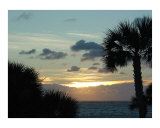 Palm Trees in Sunset Photographic Print by Miska Slock Palm Trees in Sunset Photographic Print by Miska Slock