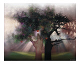 The Tree of Good and Evil Photographic Print by Bill Stephens