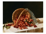 A Basket of Cherries Giclee Print by John F. Francis
