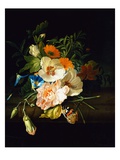 A Carnation, Morning Glory and Other Flowers by Rachel Ruysch Giclee Print