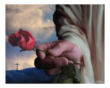 The Rose Photographic Print by Bill Stephens