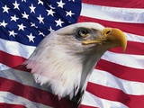 Bald Eagle and American Flag Photographic Print by Joseph Sohm