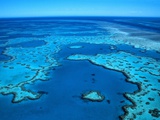 Aerial of the Great Barrier Reef Fotografisk tryk af Mark Karrass Aerial of the Great Barrier Reef Fotografisk tryk af Mark Karrass