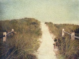 Beach Trail Photographic Print by Jennifer Kennard