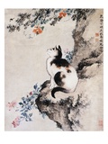 Surpise-Cat Giclée-Druck von Shen Quan