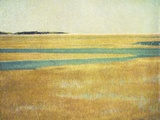 Cape Cod Tidelands 2 Photographic Print by Jennifer Kennard
