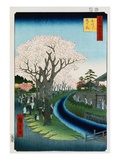 Cherry Blossoms, Tama River Embankment reproduction procédé giclée par Ando Hiroshige