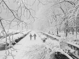 Couple Walking Through Park in Snow Fotografisk tryk af Bettmann
