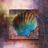 Colin Anderson - Colorful Clam Shell and Geometry - Fotografik Baskı Colin Anderson - Colorful Clam Shell and Geometry - Fotografik Baskı