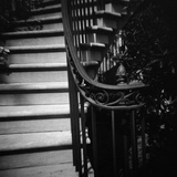 Floral Motif Railing Along a Stairway Photographic Print by Annette Fournet