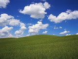 Field of Green under Scattered Clouds Photographic Print by Robert Glusic