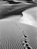 Footprints on Desert Dunes Photographic Print by Bettmann 