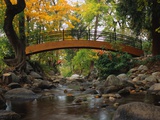 Footbridge over Stream Photographic Print by Robert Glusic