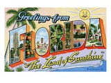 Greetings from Florida, "The Land of Sunshine" Giclee Print by Lake County Museum 