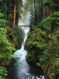Sol Duc Falls Cascading Through Rainforest Fotografisk tryk af Mark Karrass Sol Duc Falls Cascading Through Rainforest Fotografisk tryk af Mark Karrass