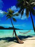 Hammock Hanging Seaside Photographic Print by Randy Faris