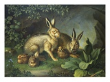 Hares and Leverets in a Rocky Lair Giclee Print by Wenzel Peter