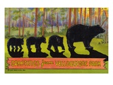 Greetings from Yellowstone Park Giclee Print by Lake County Museum 