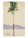 Little Tree (Chestnut Tree at Lake Constance) Giclee Print by Egon Schiele