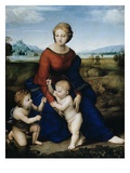 Madonna of the Meadow Giclee Print by Raphael 