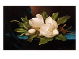 Giant Magnolias on Blue Cloth reproduction procédé giclée par Martin Johnson Heade