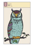 Owl Giclee Print by Steve Collier
