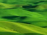 Palouse Hills, USA Photographie par Darrell Gulin