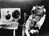 Pet Radio Photographic Print