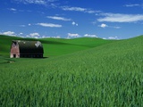 Red Barn in a Wheat Field Photographic Print by Darrell Gulin