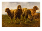 Moutons en train de brouter reproduction procédé giclée par Rosa Bonheur