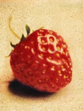 Single Strawberry Photographic Print by Jennifer Kennard