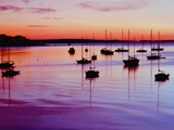 Voiliers ancrés dans un port Photographie par Cindy Kassab