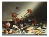 Coquillages, prunes, baies, fleurs et insectes Reproduction procédé giclée par Balthasar van der Ast