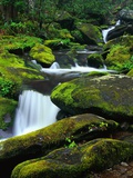 Stream Cascading Down Moss-Covered Rocks Photographic Print by Robert Marien