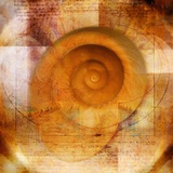 Snail Shell and Handwriting Fotografie-Druck von Colin Anderson