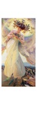 El ángel de los pájaros Lámina giclée por Franz Dvorak El ángel de los pájaros Lámina giclée por Franz Dvorak