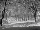 Central Park in Winter Photographie par Bettmann 
