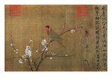 Perroquet aux cinq couleurs sur une branche en fleurs Reproduction procédé giclée par Emperor Hui-tsung