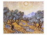 The Olive Trees Giclee Print by Vincent van Gogh